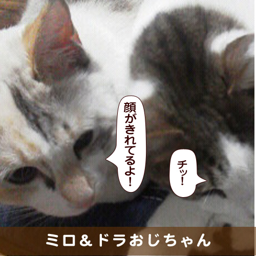 20180225_touko.jpg