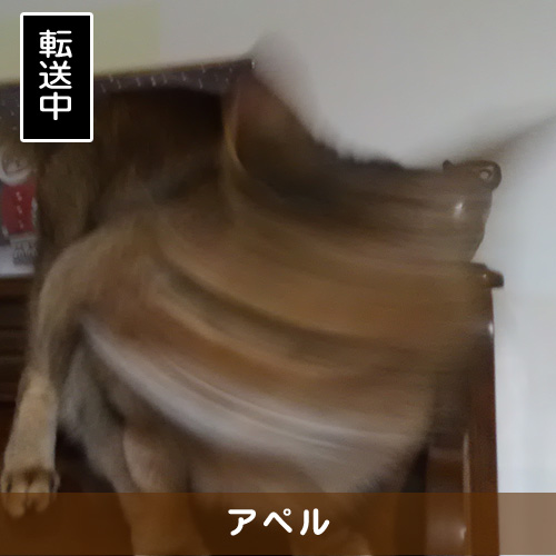 20180301_touko.jpg