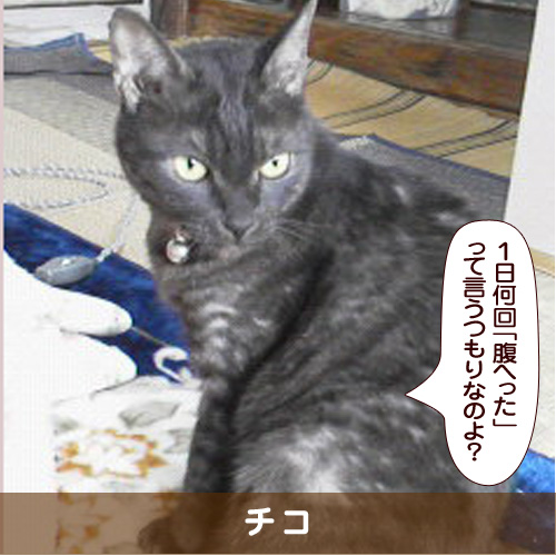 20180309_touko.jpg