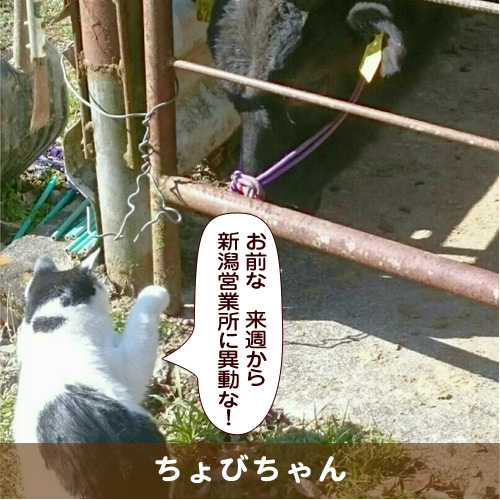 20180320_touko.jpg