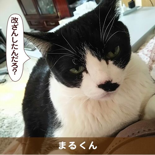 20180404_touko.jpg