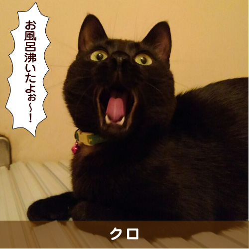 20180405_touko.jpg