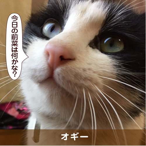 20180408_touko.jpg