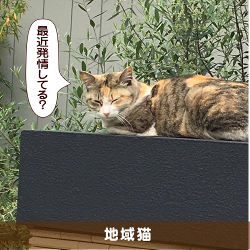 20180412_touko.jpg