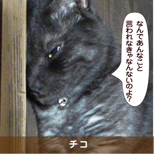 20180416_touko.jpg