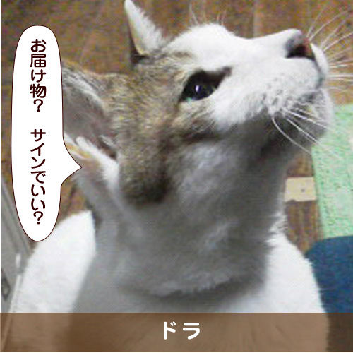 20180417_touko.jpg