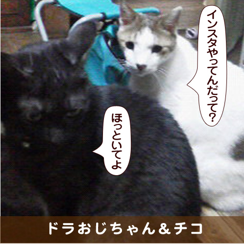 20180420_touko.jpg
