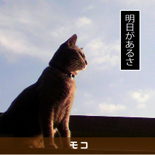 20180421_touko.jpg