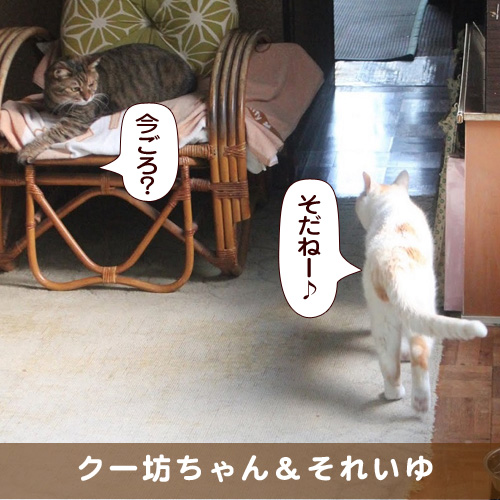 20180425_touko.jpg