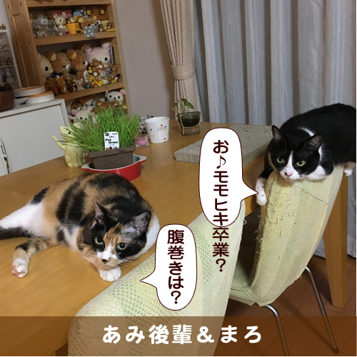 20180426_touko.jpg