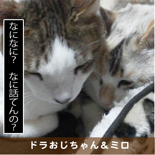 20180428_touko.jpg