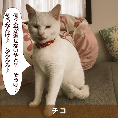 20180511_touko.jpg