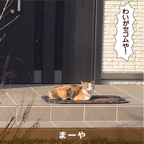 20180518_touko.jpg