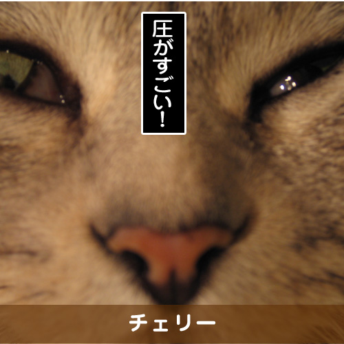 20180529_touko.jpg