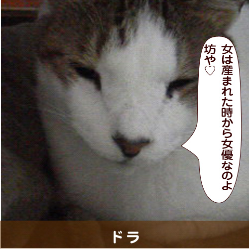 20180616_touko.jpg