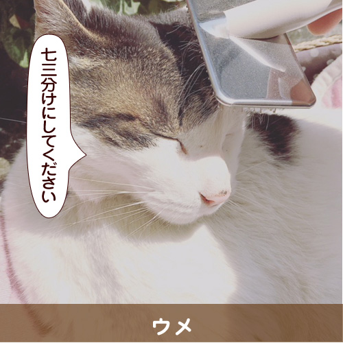 20180617_touko.jpg