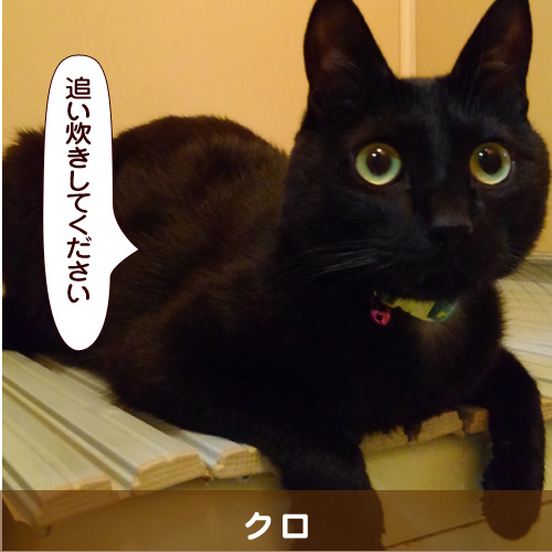 20180618_touko.jpg