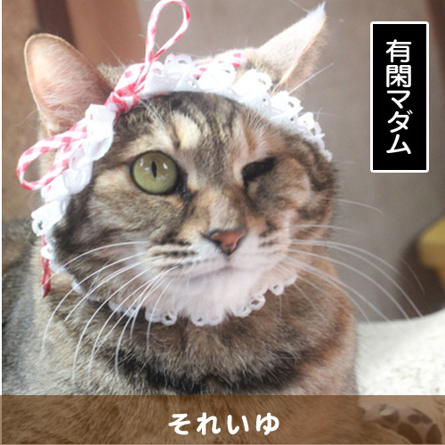20180619_touko.jpg