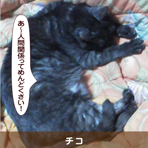 20180620_touko.jpg