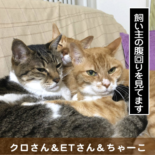 20180621_touko.jpg