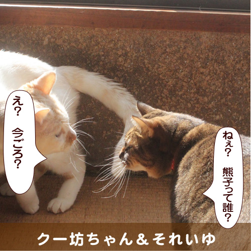 20180624_touko.jpg
