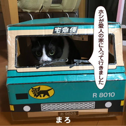 20180626_touko.jpg