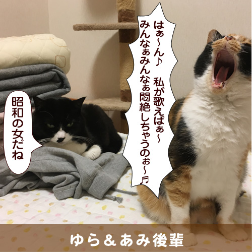 20180627_touko.jpg