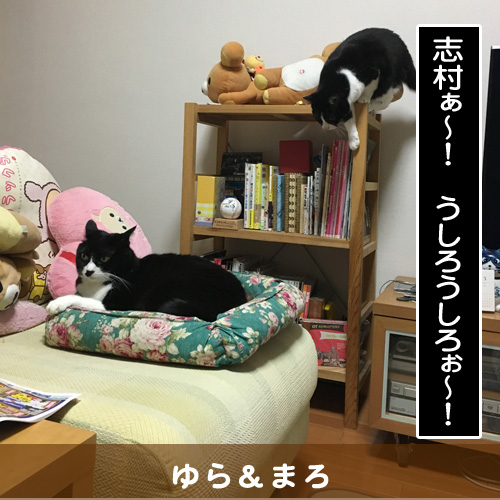 20180628_touko.jpg