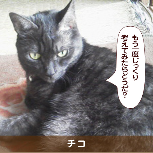 20180714_touko.jpg