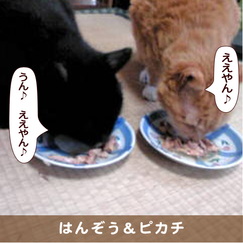 20180722_touko.jpg