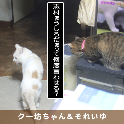 20180729_touko.jpg