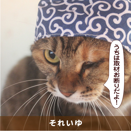 20180805_touko.jpg
