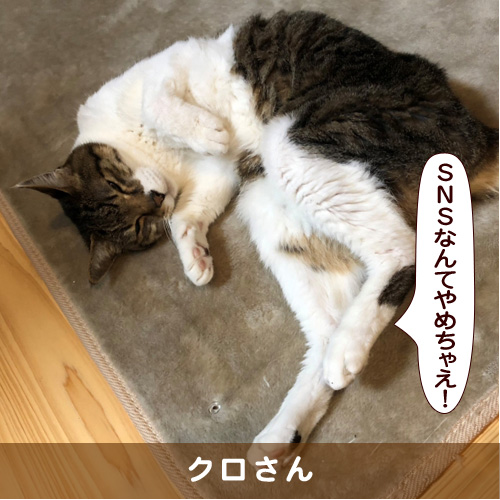 20180806_touko.jpg