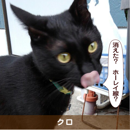20180807_touko.jpg