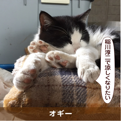 20180808_touko.jpg