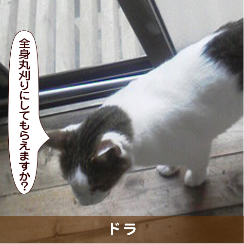 20180819_touko.jpg