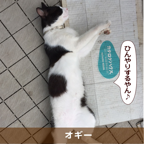 20180903_touko.jpg