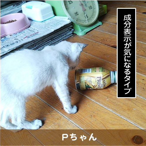 20180908_touko.jpg
