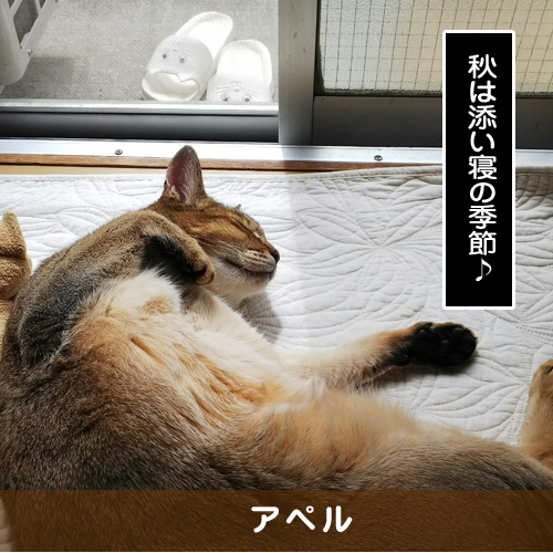 20180909_touko.jpg