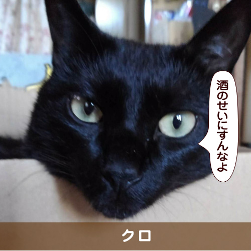 20180910_touko.jpg