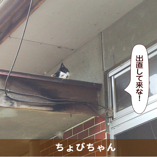 20180912_touko.jpg
