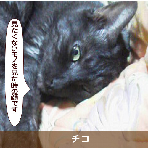 20180915_touko.jpg