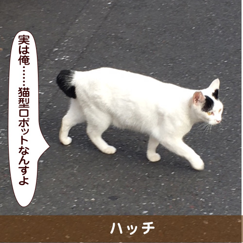 20180917_touko.jpg