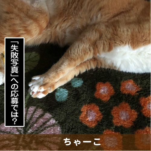 20180922_touko.jpg