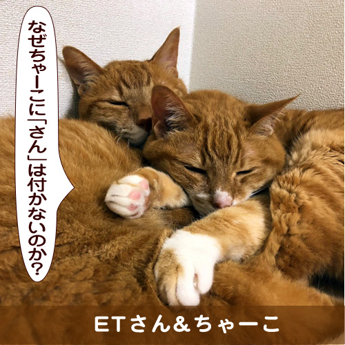 20180925_touko.jpg