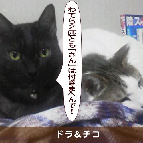 20180926_touko.jpg