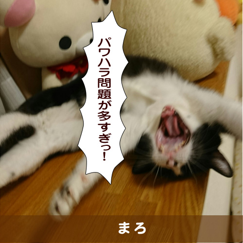 20181003_touko.jpg