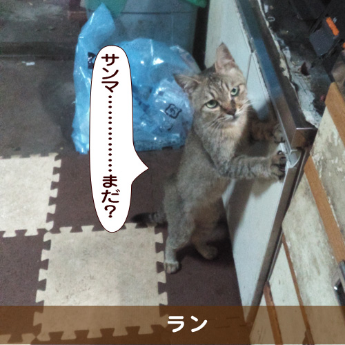 20181004_touko.jpg