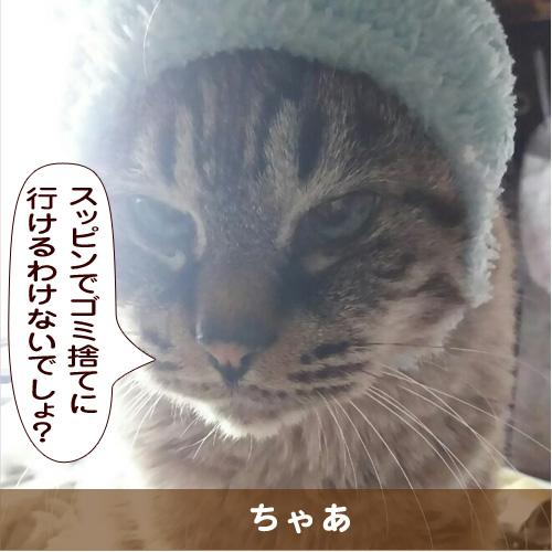 20181006_touko.jpg