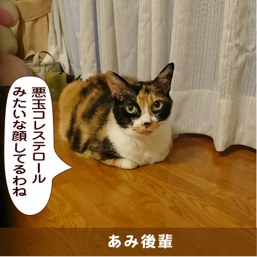 20181007_touko.jpg
